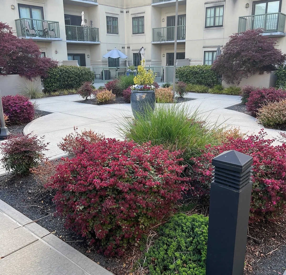 2 bed, 2.0 bath, 1600 sqft, $3,720 — Photo 4