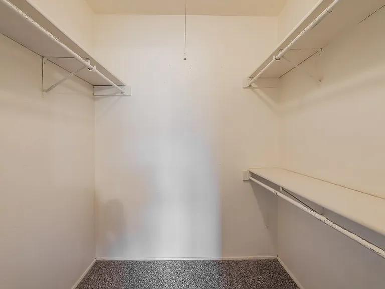 17319 Northern Star Dr — Photo 12
