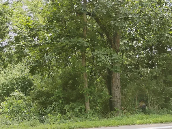 0 Middle Rd, Highland, MI 48357