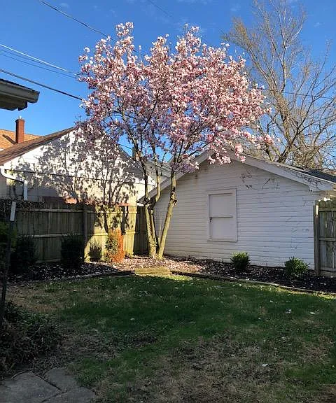 Fenced In Back Yard