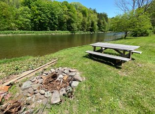 247 Halls Island Rd, East Branch, NY 13756