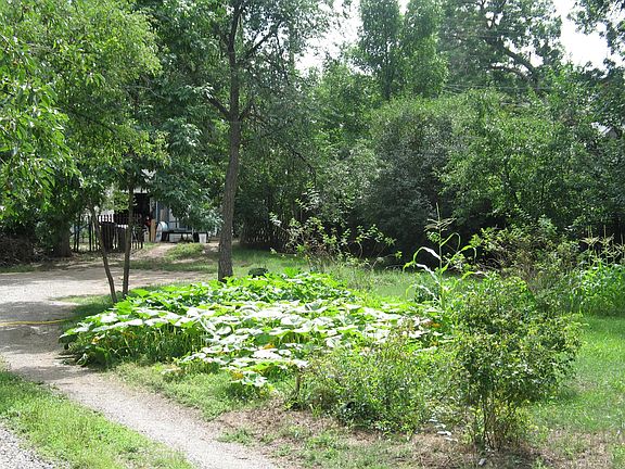 Side yard (ie extra lot)