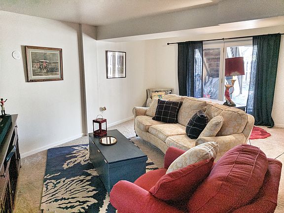 Basement Living Room