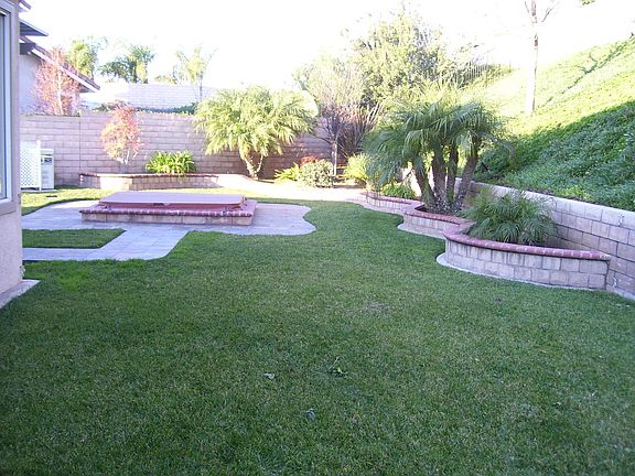 1/3 acre backyard