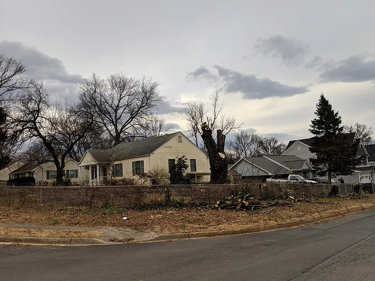Front (tree was in process of being cut down)