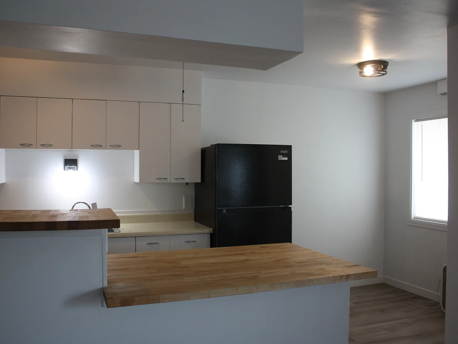 2 bed, 1000 sqft, $1,250 — Photo 4