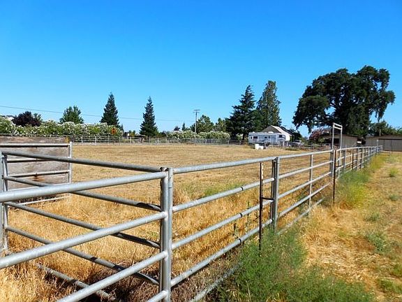 Horse Area and Pasture