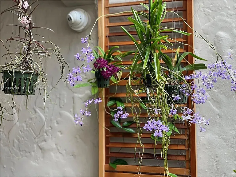 455 Amalfi Ave — Photo 26