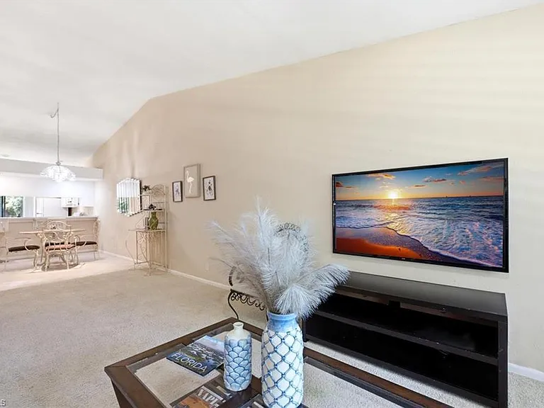 4010 Ice Castle Way #8 — Photo 7