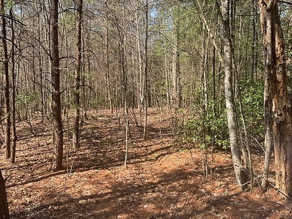 5th image of 00 Blue Ridge Heights