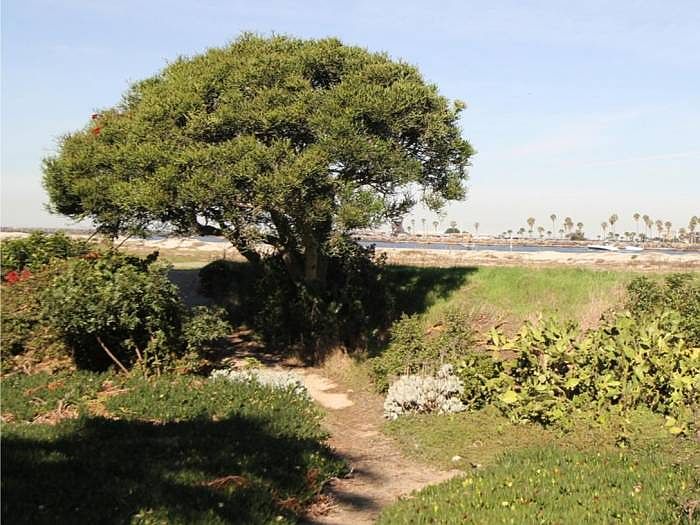 Private beach access and