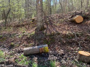 Mud Fork Rd, North Tazewell, VA 24630