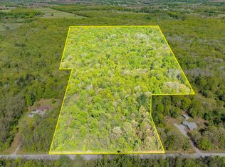 Vacant Emerson Rd, Goodells, MI 48027