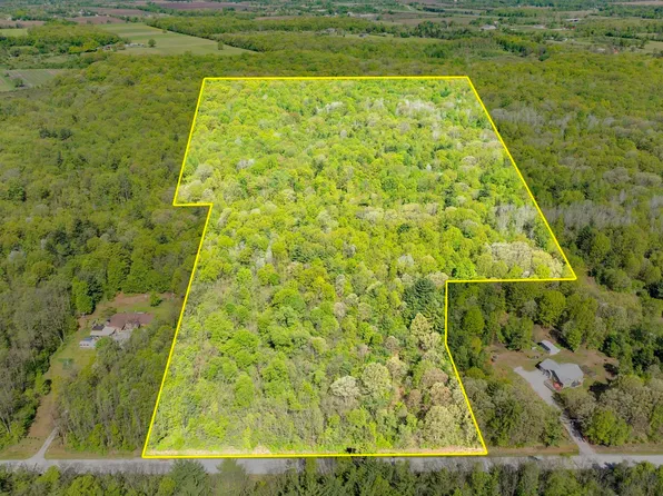 Vacant Emerson Rd, Goodells, MI 48027