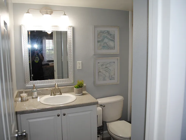 Bathroom view