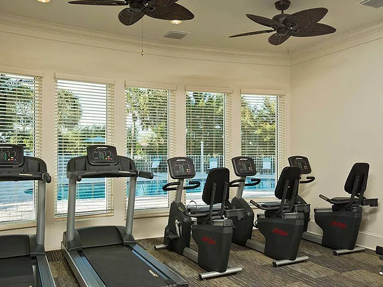 Gym Equipment