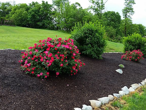 Left driveway border