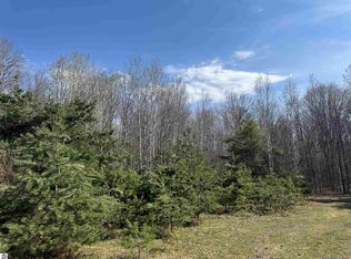 Tbd N Loomis Rd, Clare, MI 48617