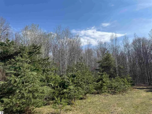 Tbd N Loomis Rd, Clare, MI 48617