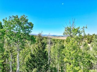 484 Campfire Rd, Hartsel, CO 80449