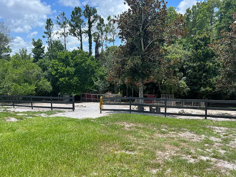 8015 Sycamore Dr — Photo 35