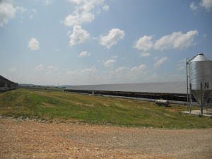 2nd image of Highway 206