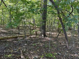 411412 Smith Rd, Spring City, TN 37381