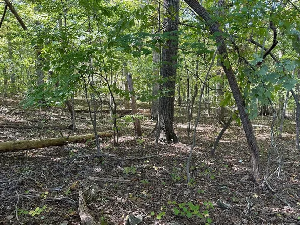 411 Smith Rd Lot 411, Spring City, TN 37381