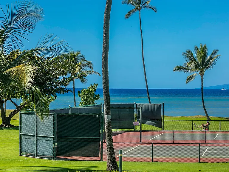 1032 S Kihei Rd #A217 — Photo 37