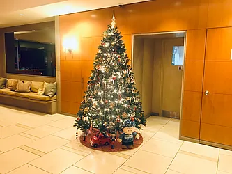 Rented by Luxus Manhattan Realty