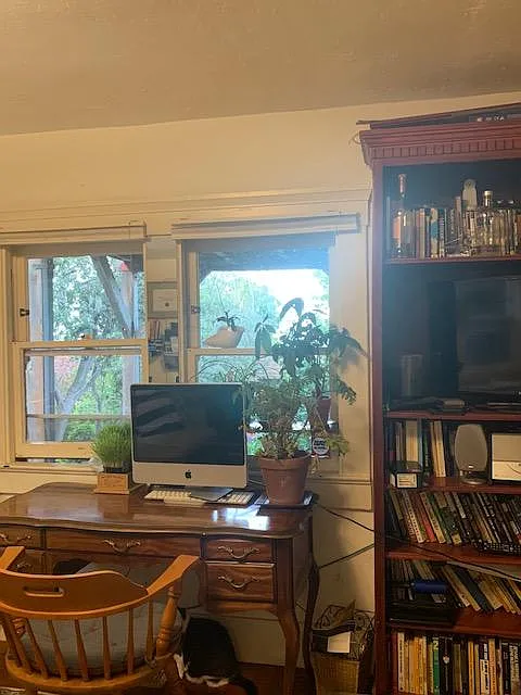 View from living room