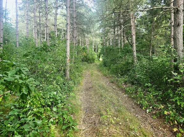 400th St, Browerville, MN 56438