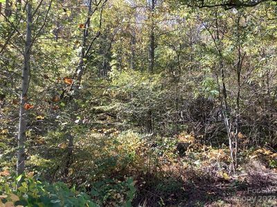 0 E Sprinkle Branch Rd W, Marshall, NC, 28753