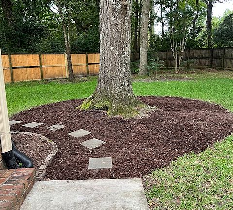 Backyard left view 2