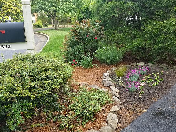 Perennial & annual flowerbed