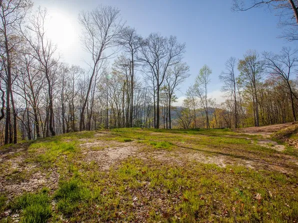 650 Walnut Ln, Robbinsville, NC 28771