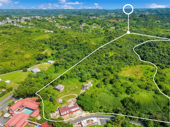 State Route 164 Palmarejo Ward Km #131D, Corozal, PR 00783