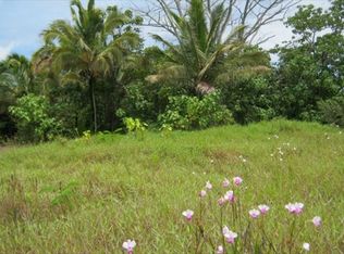 Mapuana Ave LOT 161, Pahoa, HI 96778