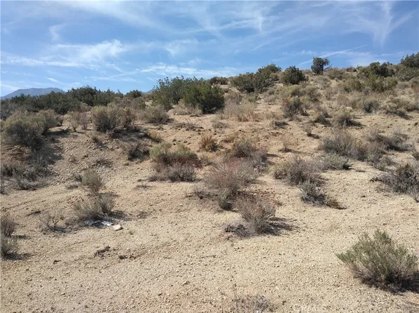 0 Avenue W6 122nd St E #Nr, Pearblossom, CA 93553