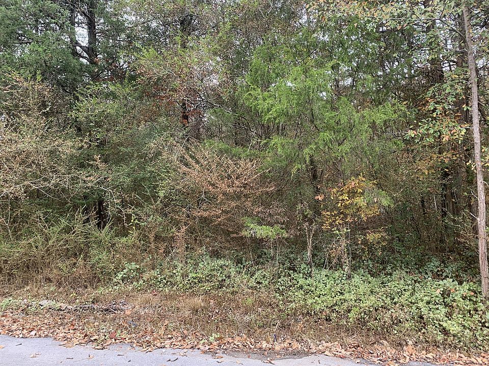 2nd image of 2 Deer Trl