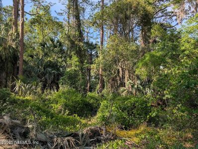 0 000 CAROL Avenue, Crescent City, FL, 32112