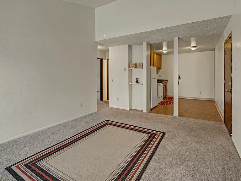 Conifer Grove — Photo 10