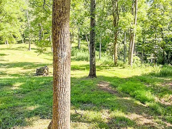 1138 Dotts Holw, Cairo, WV 26337