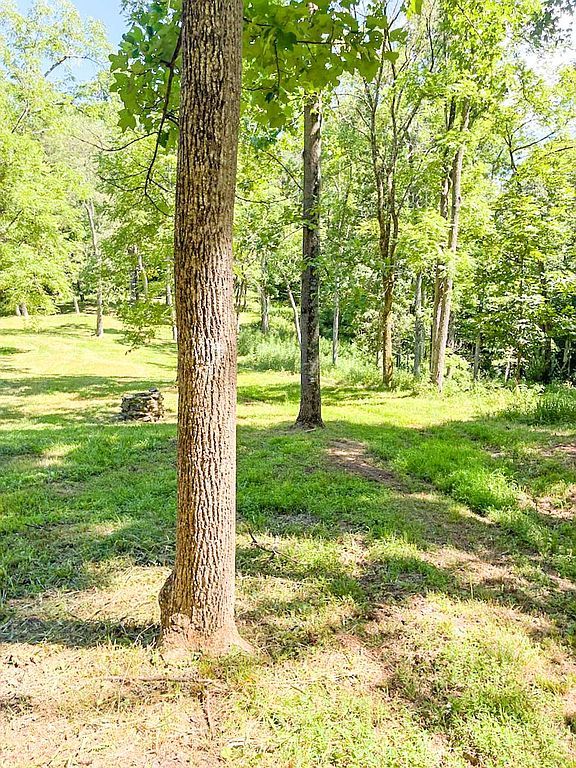 1138 Dotts Holw - Property Image