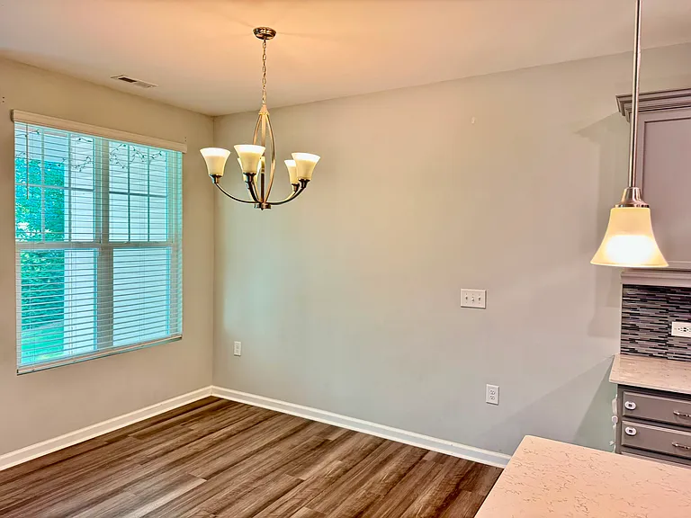 1036 Brightskies St — Photo 22