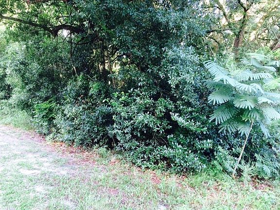 3rd image of 111 Frederick St