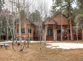 1410 Eagle Trace Ct, Woodland Park, CO 80863