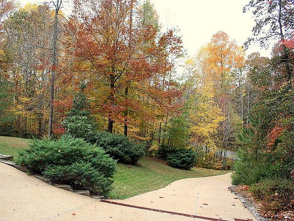 4th image of 149 Londonderry Ln