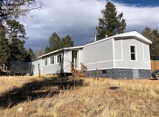 169 Daisy St, Woodland Park, CO 80863