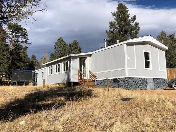 169 Daisy St, Woodland Park, CO 80863